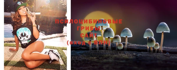 МДПВ Карпинск