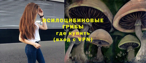 ALPHA-PVP Карталы