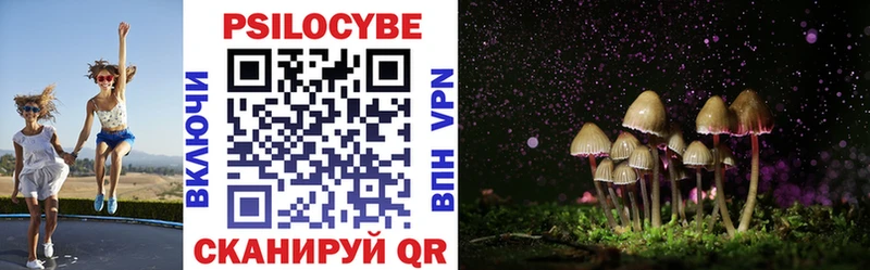 Купить где  Дорогобуж  Псилоцибиновые грибы мицелий 